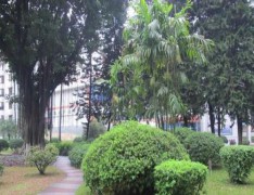 扶风县午井高级职业中学