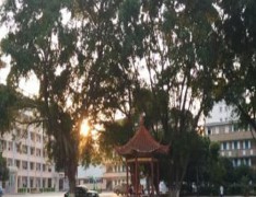  柳州商贸技工学校