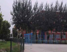 山西体育职业学院(朔州教学班)