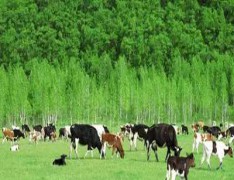  吉林省畜牧业学校