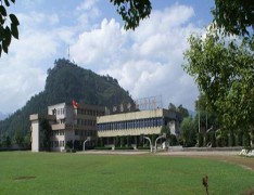  丽水黎明中专