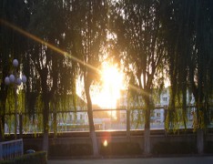 阜阳市宁老庄高级职业中学