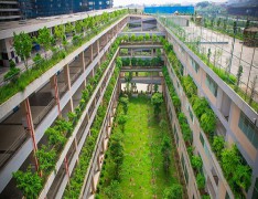 泉州职业技术大学