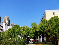 合肥飞跃学校