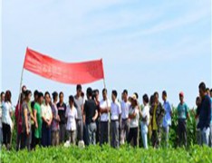 镇赉县技工学校