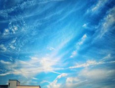 合肥经贸旅游学校