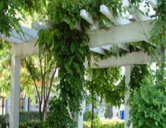 黄山市黄山区卫生进修学校