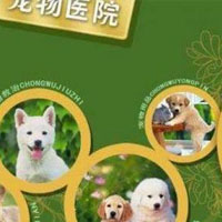 宠物医疗与护理