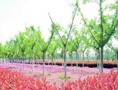 鹤岗市工商职业技术学校