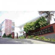 攀枝花技师学院（中国十九治高级技