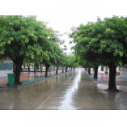 韶关市始兴县马市中学