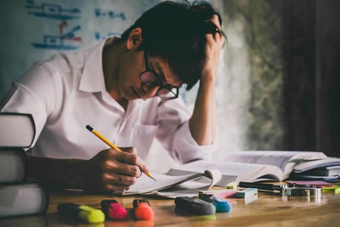 山东外事职业学院书记校长访企拓岗促就业专项行动——校长杜琳云端“访企拓岗”助力学生就业