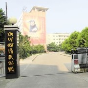  乐山大佛文武学校