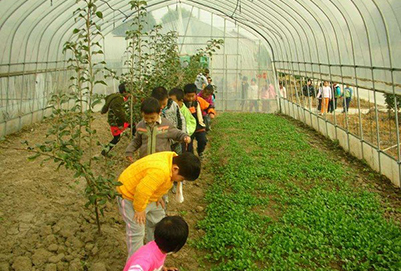  云南省园艺场学校