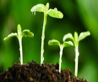  毕节幼儿师范高等专科学校五年制大专