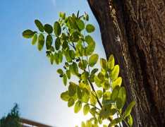 天水市卫生学校五年制大专学校