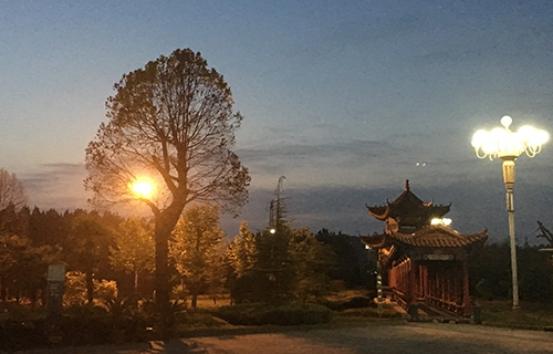  岷县职业技术学校