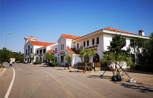  甘肃新盛国资技工学校