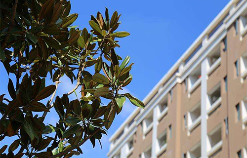  云南耀兴卓越技工学校