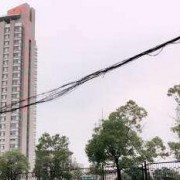  隆昌县金墨职业中学