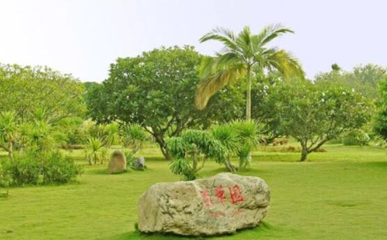  西双版纳职业技术学院