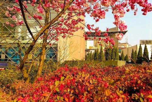  云南艺术学院业余艺术学校华彩分校