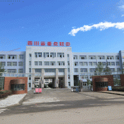  阆中江南高级职业中学