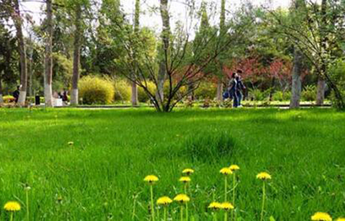  双江县职教中心