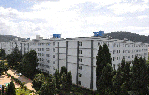  云南经贸外事学院