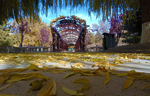  宕昌县卫生学校