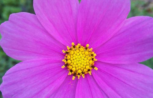  咸阳渭城区高级职业中学