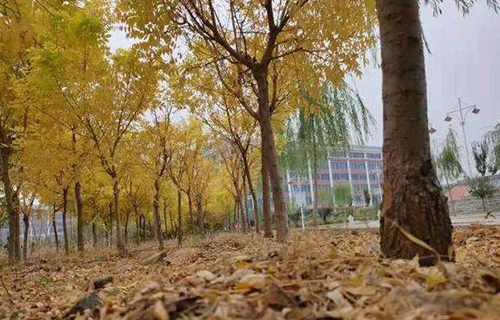  户县服美职业学校