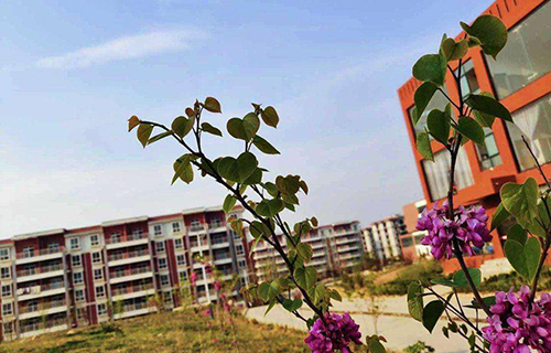  西安商贸旅游技师学院