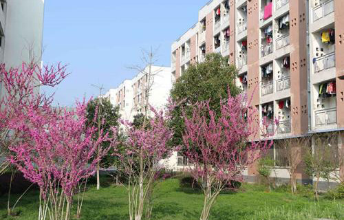  永寿县职业卫生学校