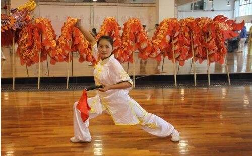  陕西武术职业学校