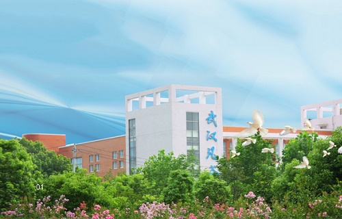  武汉凡谷电子职业技术学校