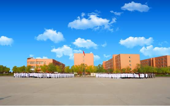  陕西对外服务职业学校