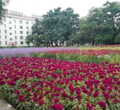  沧州工商职业学校