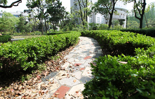  鸡泽县综合职教中心