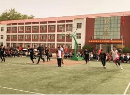  秦皇岛市奇石艺术学校