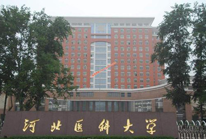  河北医科大学临床学院