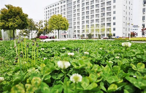  衡水习三工艺美术中等专业学校