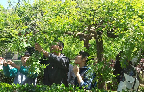  元氏县高级职业中学