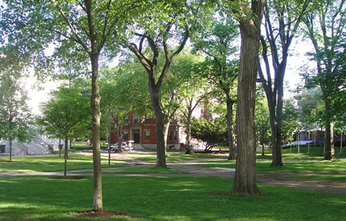  安国职业技术教育中心