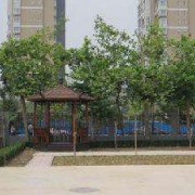  石家庄曙光中等专业学校