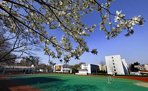  邯郸市卫生学校