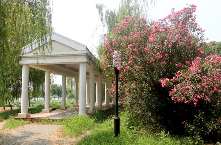 社会体育指导与管理（专升本）