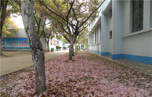  芜湖商贸工业学校