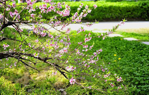  杭州幼师学校