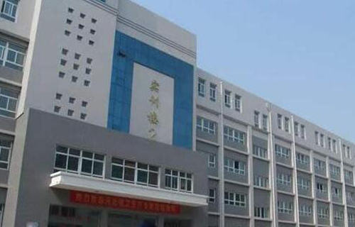  河池民族中等专业学校